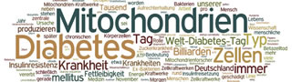 Mitochondrien - was ist das?