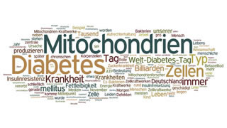 Diabetes wird durch Schäden der Mitochondrien der Zellen ausgelöst