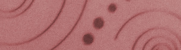 Der 24 Stunden-Virus sorgt fr eine Magen-Darm-Grippe