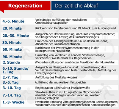 Ablaufschema nach Georg Neumann, Ernhrung im Sport (2014).