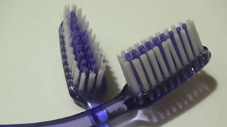 Die Zahnbürste sollte nicht länger als drei Monate zum Einsatz kommen.